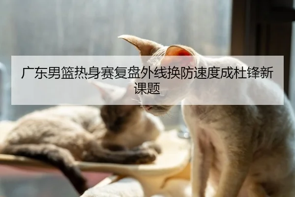 广东男篮热身赛复盘外线换防速度成杜锋新课题